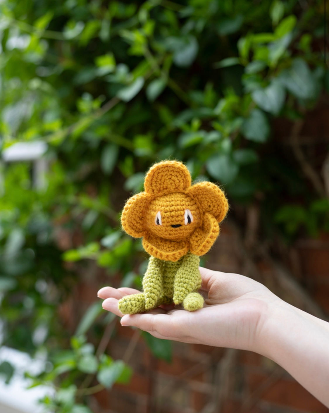 Buttercup - Complete Beginner