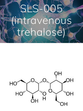 Carta do CEO da Seelos Therapeutics sobre a Trehalose (SLS-005)
