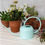 Thumbnail: Can Dyfrio Metel  / Metal Watering Can