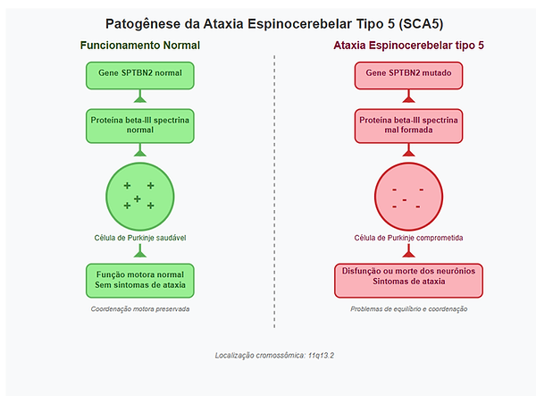 Patogênese da ataxia espinocerebelar tipo 5 (SCA5)