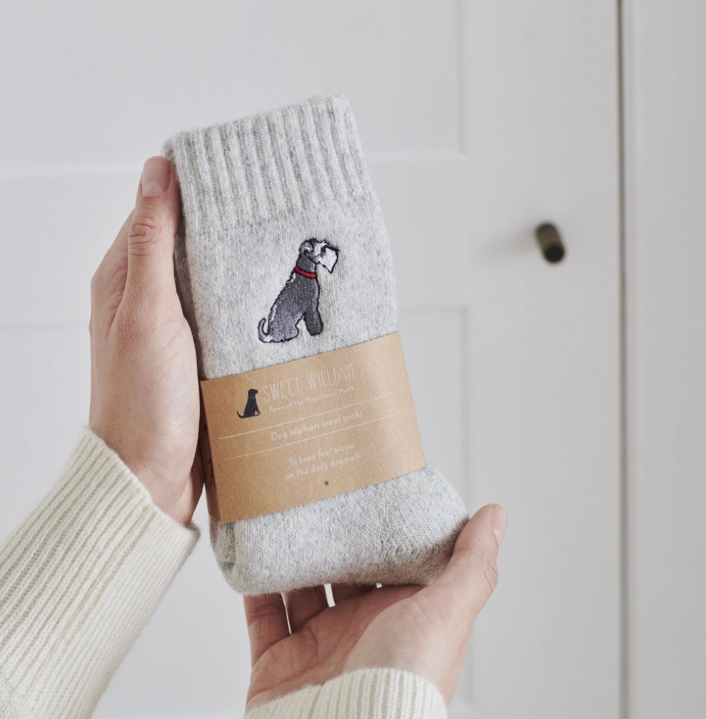 Sana / Socks - Grey Schnauzer