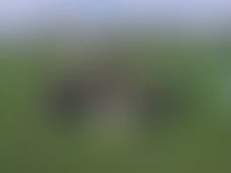 Naše škola ZŠ Pionýrů postupuje do okresního kola McDonald's Cupu