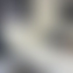  SAS Brasil recebe o primeiro Compact 5000 do país