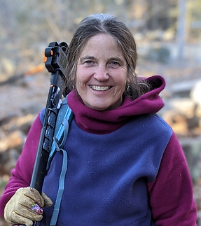 Screenshot 2024-05-09 2.22.31 PM.png