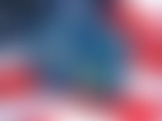 Visa Options That Work: A Guide for Canadians Moving to the U.S.