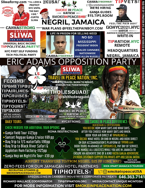 _ REMOTE $1115 JAMAICA (1).png