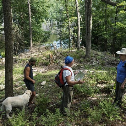 A Walk along the Newly Flagged Trails in the Baker Woods Preserve