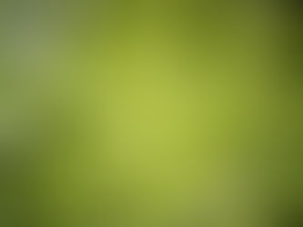 Medida Provisória autoriza emendas parlamentares para o Fundo Nacional do Meio Ambiente (FNMA).