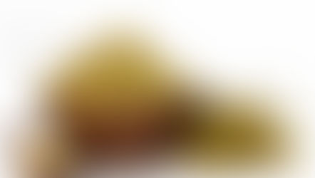 A Chamomile Celebration