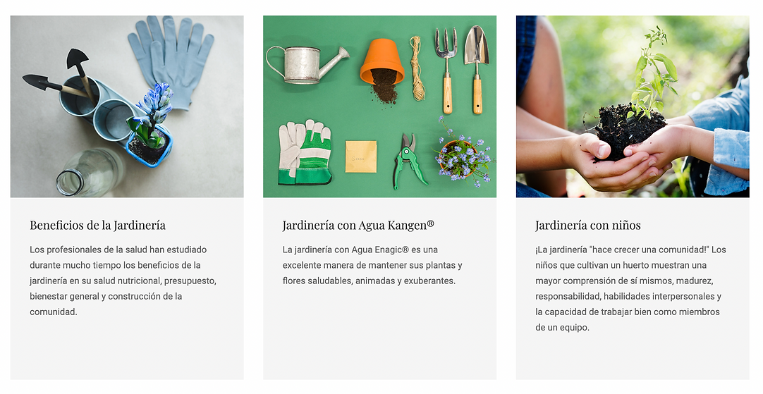 Captura de Pantalla 2021-06-20 a la(s) 01.58.31.png