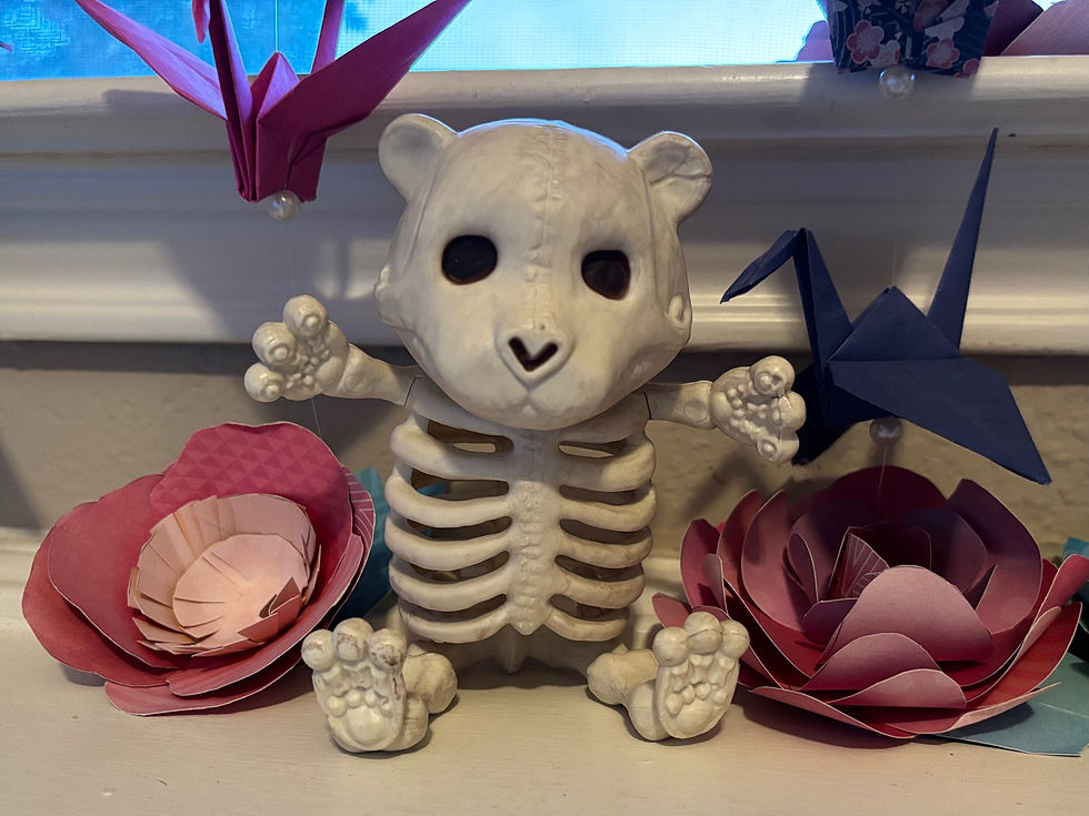 bear skeleton