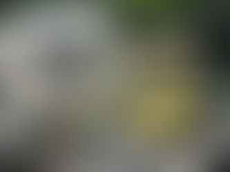 GUAPITOS TO GO ARRIBA A SU PRIMER MES