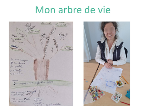 🌳 Des racines écorchées, des arbres majestueux et fiers ! 🌳