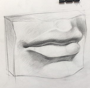 IMG_3527.PNG