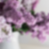 flowers.png