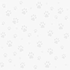 lots of small dog foot prints, black prints on a gray background_edited.jpg