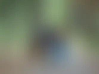 A Second Chance for Max: The Journey from Fear to Trust