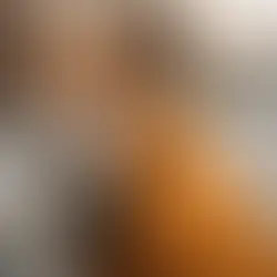 Unveiling the Ultimate Winter Protection: Introducing PawPets India's Exclusive Stray Dog Jacket Collection Starting at Rs. 189