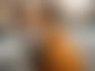 Unveiling the Ultimate Winter Protection: Introducing PawPets India's Exclusive Stray Dog Jacket Collection Starting at Rs. 189