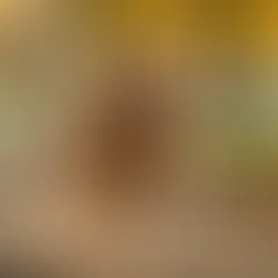 Is Your Pup Pudgy? Tips for Tackling Dog Obesity Without Breaking a Sweat