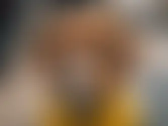 PawPets Winter Jacket for Stray Dogs: Starting at Rs. 189! Are You Ready to Keep Every Paw Warm?