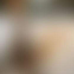 Top 10 Healthiest Dog Breeds in America: A Guide for Pet Owners