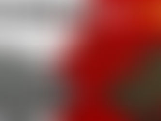 WW2 story: Why I have decided to plant bamboo on our agricultural land!