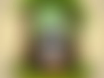 I used to talk about myself - 07/24