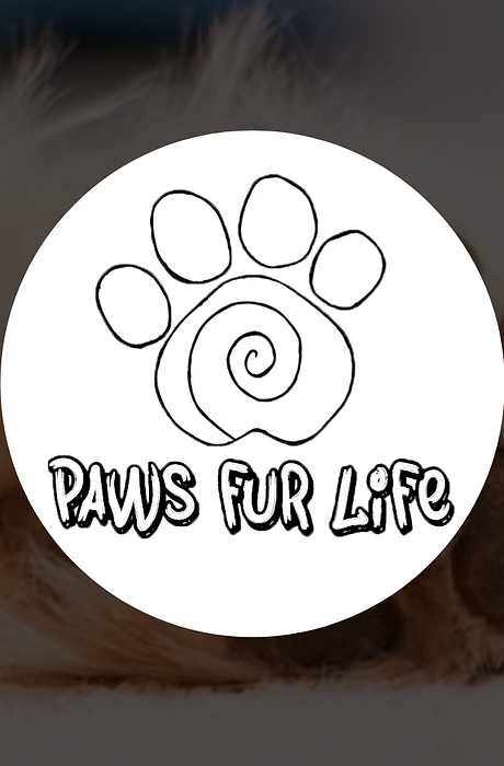 vencover_Paw Fur Life.png