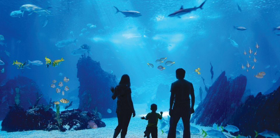 Thumbnail: Antalya Aquarium