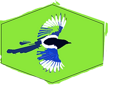 magpie logo_edited_edited_edited.png