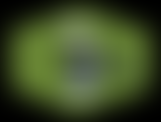 We Have A Roku Channel