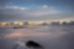 landscapedigi.jpg