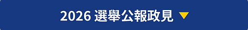 公報政見標題