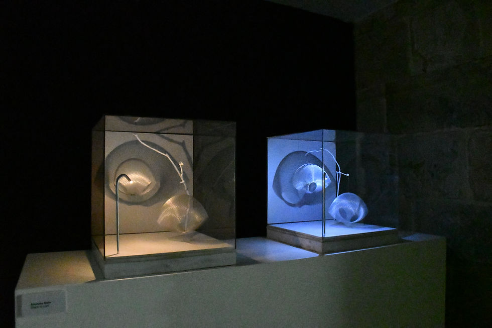 Shape of Light – in the box –