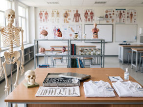 Setting Up Your Anatomy Lab: An Equipment Checklist for Students & Institutions