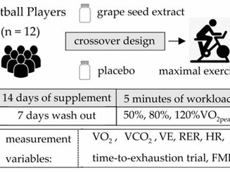 Effects of Grape Seed Extract Supplementation on Endothelial Function