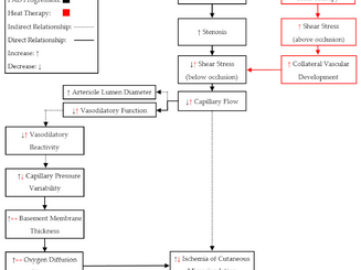 Microvascular Dysfunction in Peripheral Artery Disease: Is Heat Therapy a Viable Treatment?