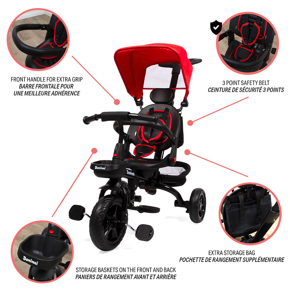 Thumbnail: Tricycle with Pushbar Reina