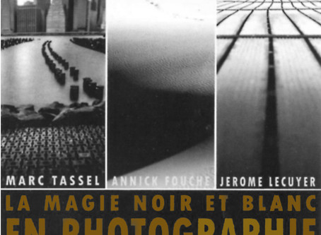 Exposition à Mesquer