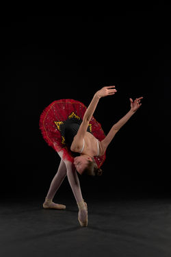 Danse 281