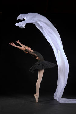 Danse 381