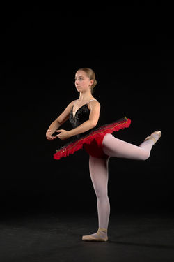 Danse 395