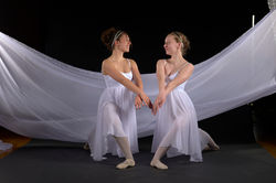 Danse 238