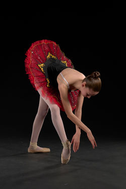 Danse 250