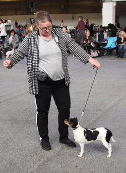 JAVIKA Mona Mågeklat