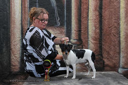 JAVIKA Mona Mågeklat