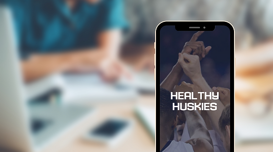 Projects: Healthy Huskies | Zaineb Haroon