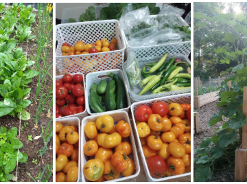 Nokomis East Giving Garden