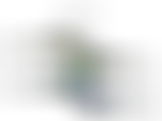 Fitnessreise Graphik